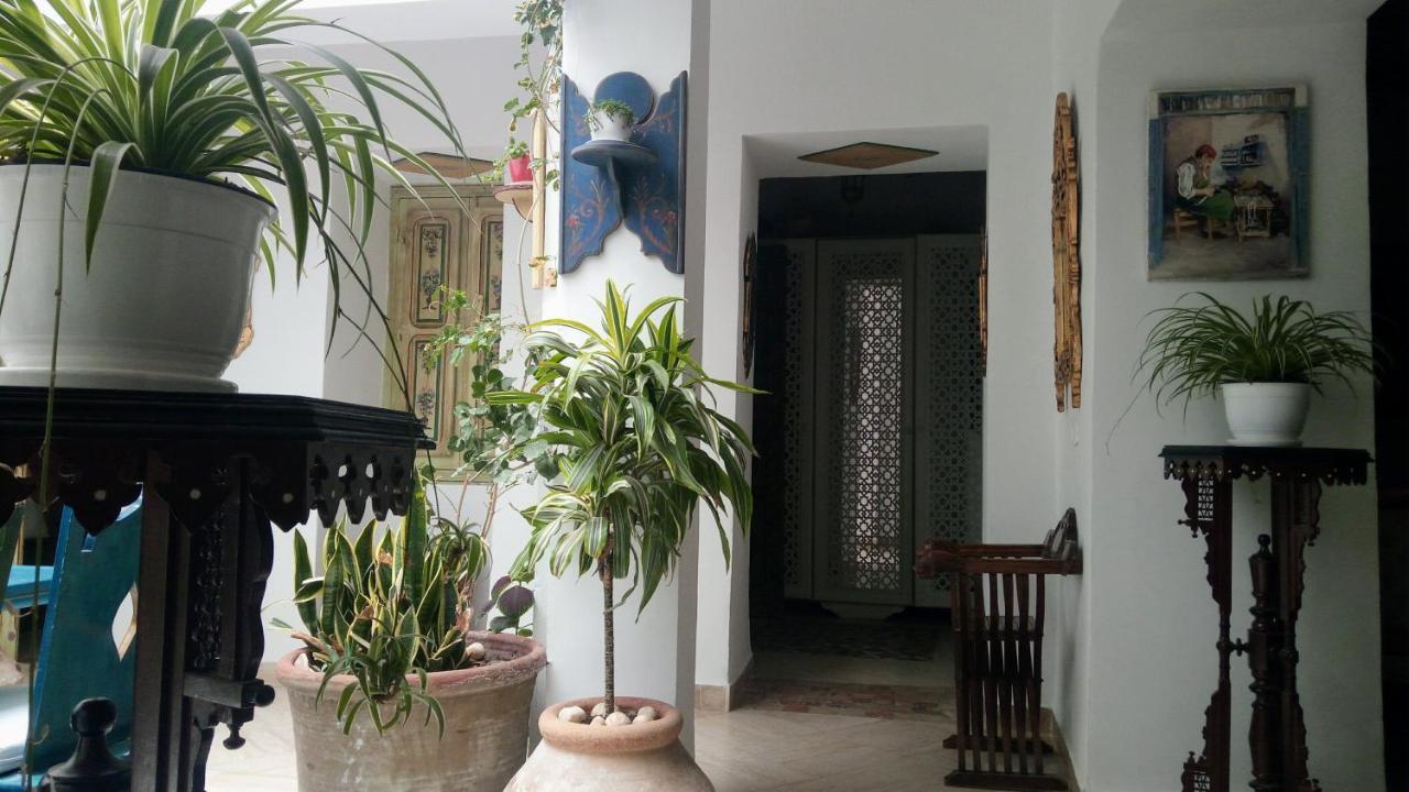 El Patio Courtyard House 3* Túnez